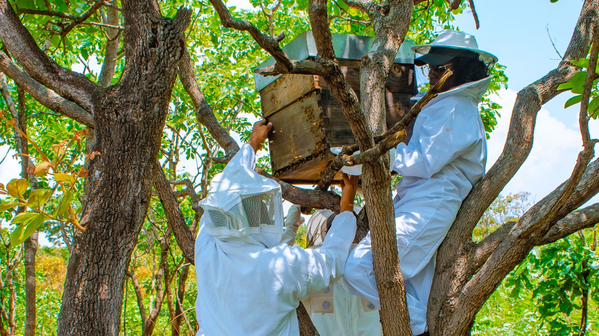 Project participants learn to install a modern beehive in Bailundo, Angola